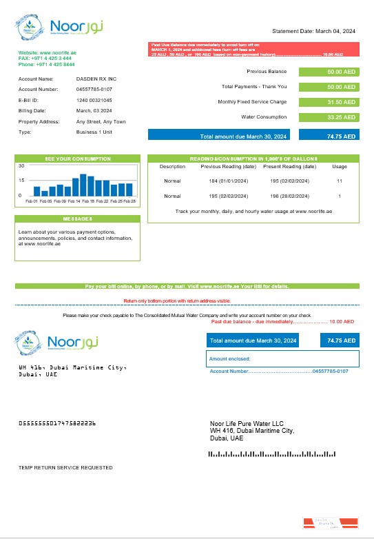 UAE Noor Life Pure Water LLC business utility bill template in Word and PDF formats